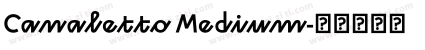 Canaletto Medium字体转换